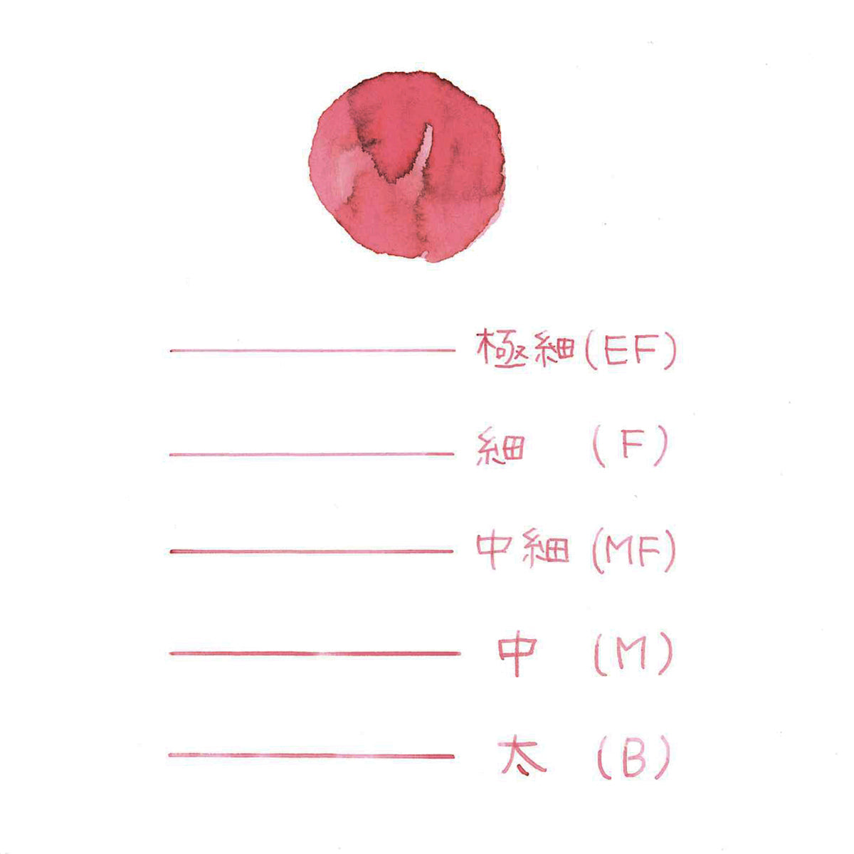 プロフェッショナルギアスリム 桜限定セット